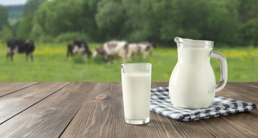 РСХБ: внедрение «генетического лифта» может повысить продуктивность молочной отрасли почти в 1,5 раз