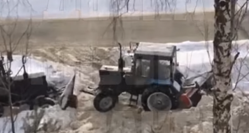 Жители Саранска пожаловались на сломанные деревья из-за расчистки улиц от снега