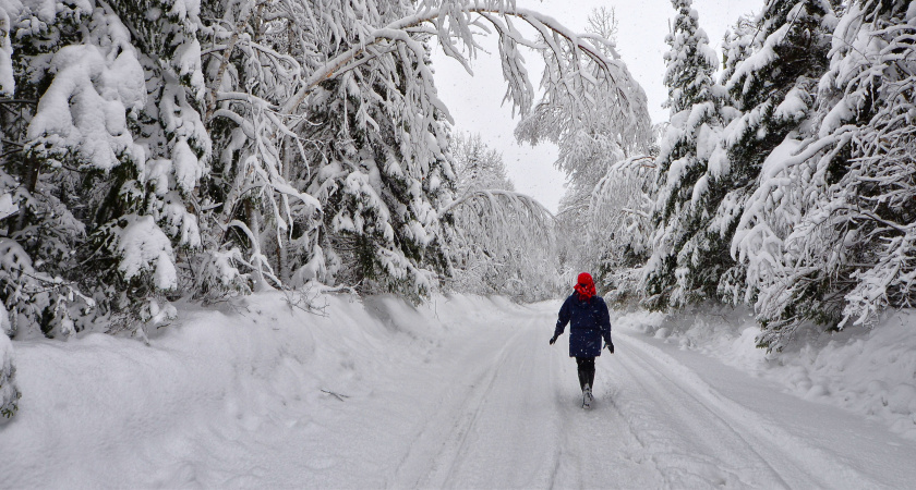 «Поступила новая информация». Синоптики полностью изменили прогноз на весь март