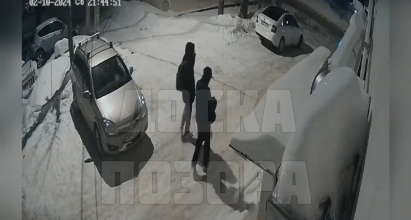 Жители Саранска пожаловались на рекламирующих «запрещенку» вандалов