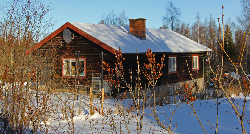 2 года за цветочек: дачников предупредили о тюрьме за выращивание этого растения на участке