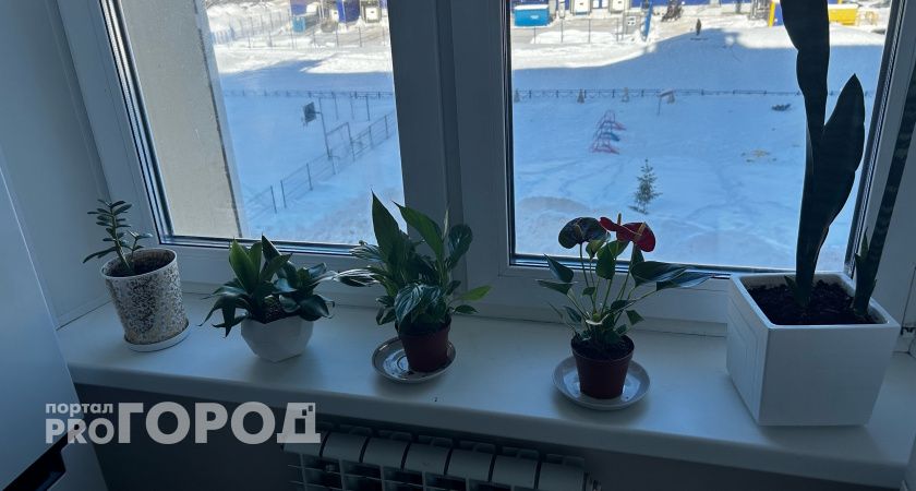 Цветы-вампиры: эти 10 ядовитых комнатных растений, ежедневно отравляют вашу жизнь