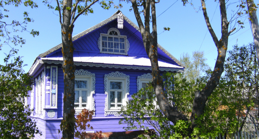 2 года за цветочек: это растение на участке дачника может отправить его в тюрьму