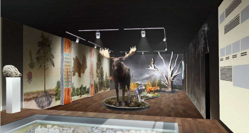 В Мордовии создадут музей леса в национальном парке