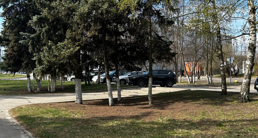 Мэрия Саранска рассказала, куда обращаться в случае парковки на газоне