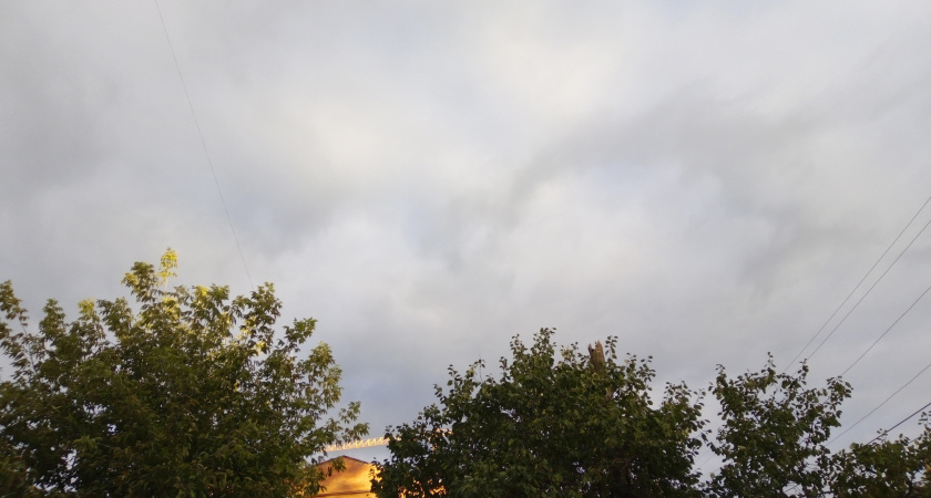 30 апреля в Мордовии ожидается порывистый ветер и до +21