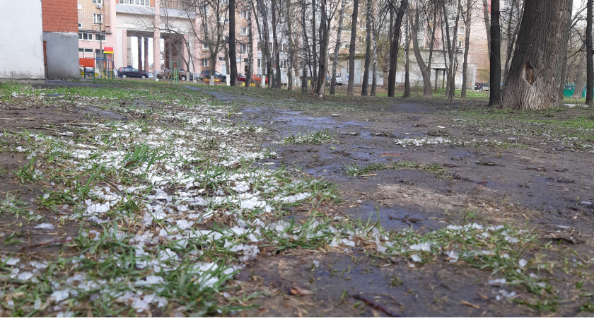 2 мая в Мордовии ожидается порывистый ветер и до +13