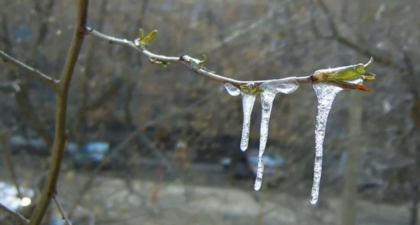 4 мая в Мордовии ожидается похолодание до -5