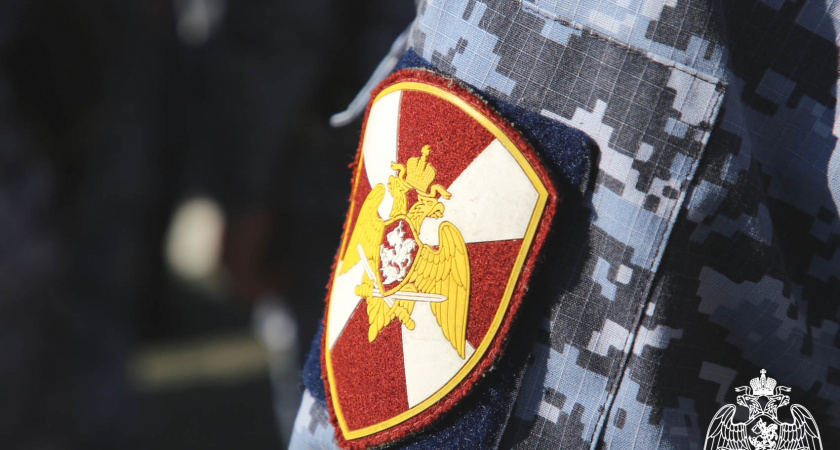 В Мордовии за апрель росгвардейцы пресекли 197 правонарушений