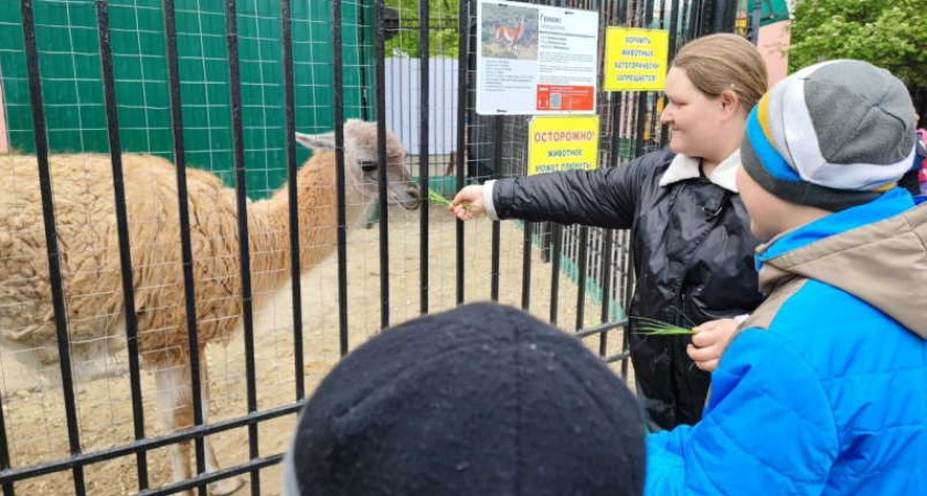 Семьи военных побывали в Саранском зоопарке
