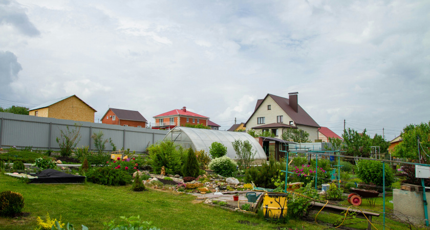 Вы на даче не хозяин, если не возьмете ситуацию с опасным проволочником под контроль