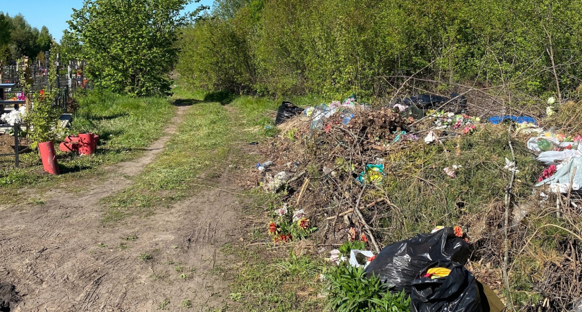 Жители Мордовии вновь пожаловались на состояние кладбищ