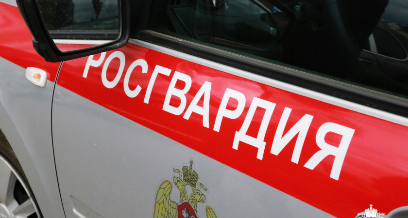 Пьяный 66-летний житель Саранска избил сотрудницу кафе