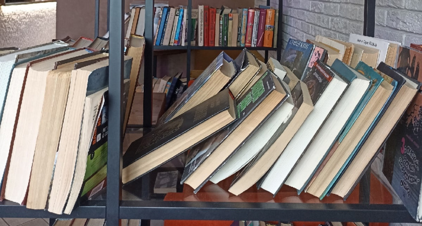 В Мордовии число читателей библиотек перевалило за 400 тысяч