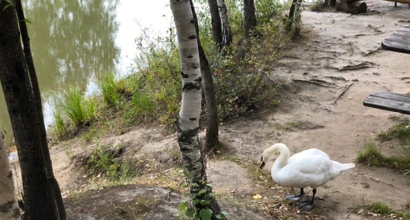 29 мая в Мордовии ожидается переменная облачность и до +29