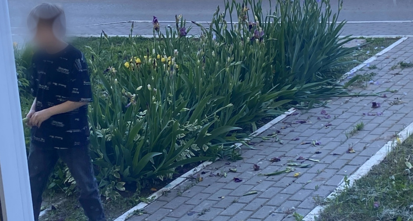 Жительница Саранска пожаловалась на ломающих цветы детей