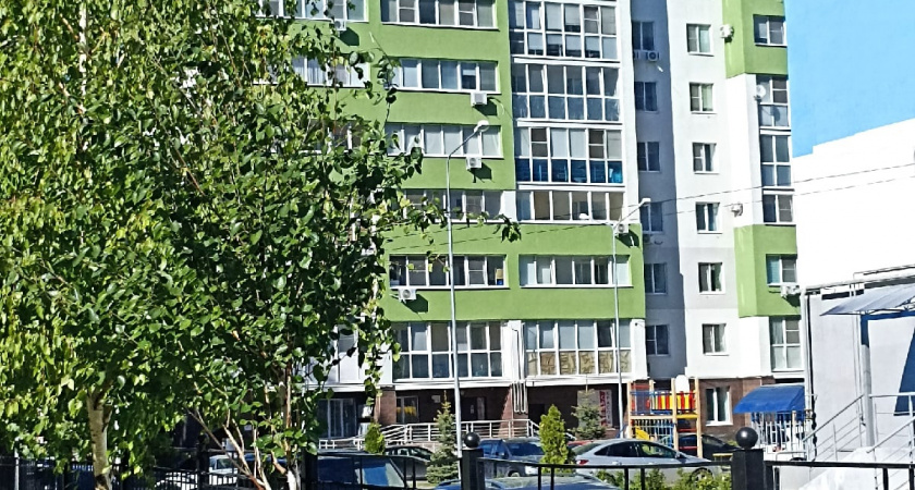 Бурда в бачке: Роскачество назвало АЗС, где вместо бензина льют чистую серу  