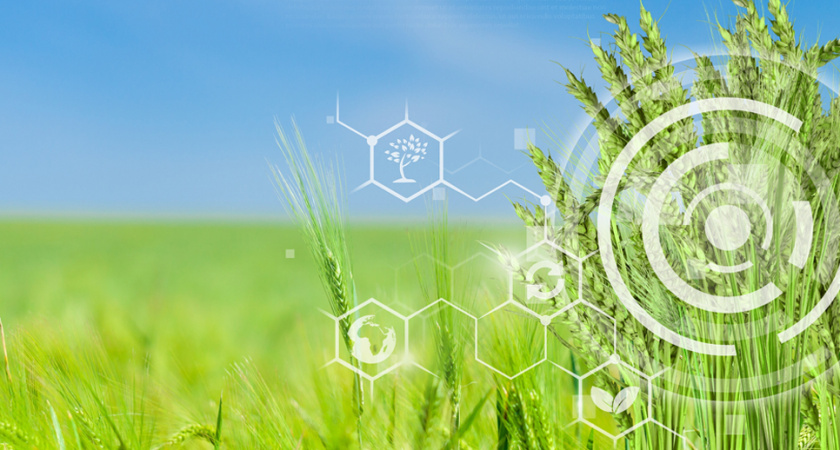 РСХБ обучит студентов продвигать фермерскую продукцию с помощью нейросетей