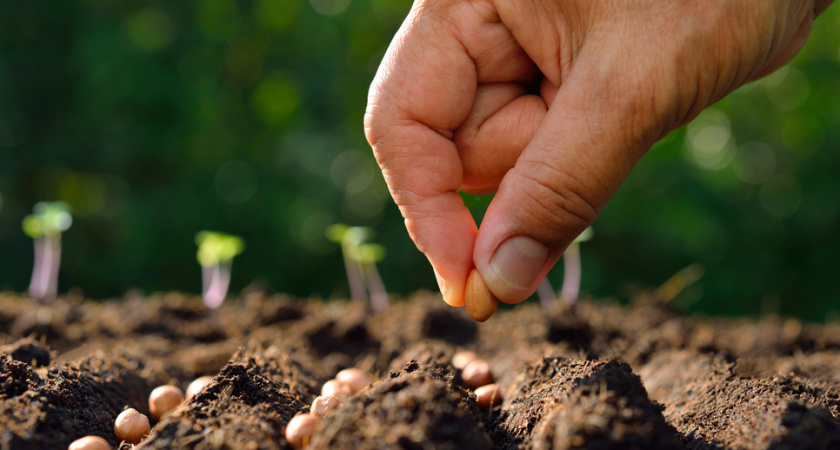 РСХБ нарастил кредитный портфель сельхозкооперативов до 18 млрд рублей