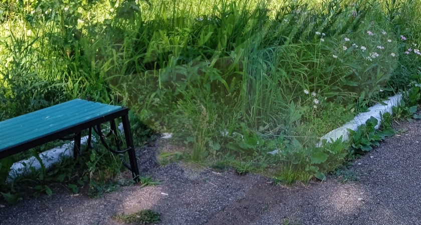 Жители Саранска пожаловались на отсутствие благоустройства