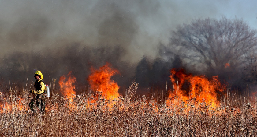 МЧС объявило о высокой пожароопасности лесов до 21 июня