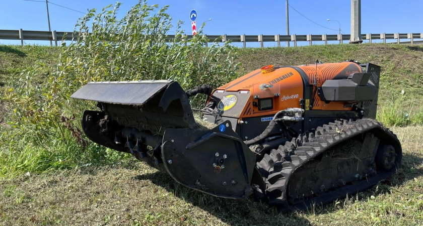 В Саранске устраняют борщевик с помощью робота-газонокосильщика