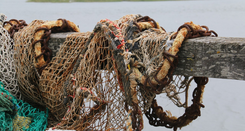 В Мордовии осудят двух приятелей за ловлю рыбы на 132 тыс. рублей 