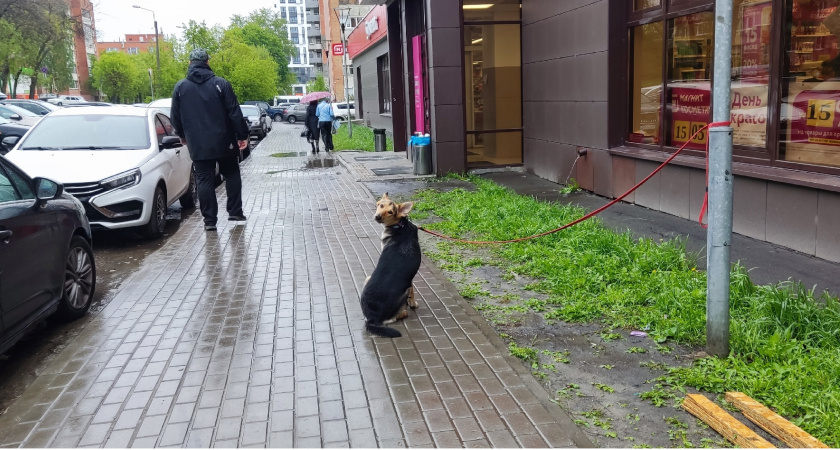 20 июня в Мордовии ожидается гроза и до +30