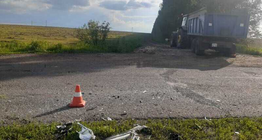 В Мордовии в аварии с трактором и «Лада XRay» пострадали двое