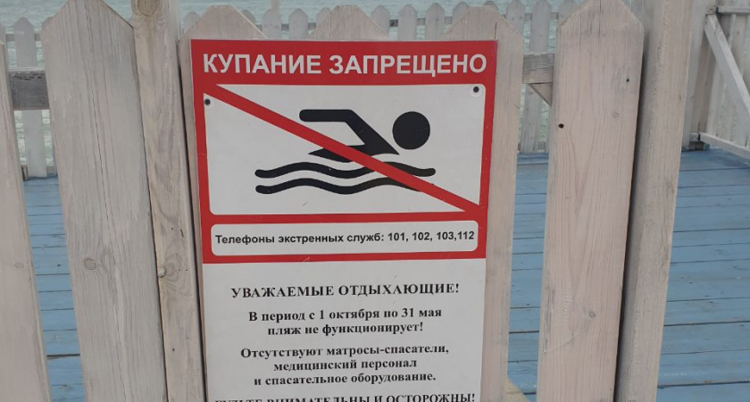 Вот тебе и отпуск: вода +16, пляжи переполнены, от водорослей вонь, в Новороссийске на море не пускают — облом по полной