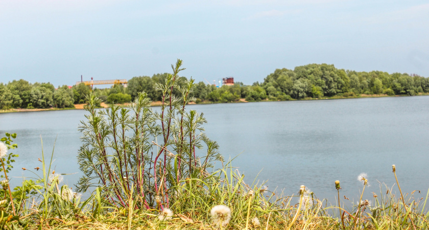 11 июля в Мордовии ожидается пожарная опасность и до +28