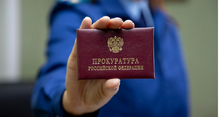 Житель Мордовии приобрел в интернете поддельные водительские права