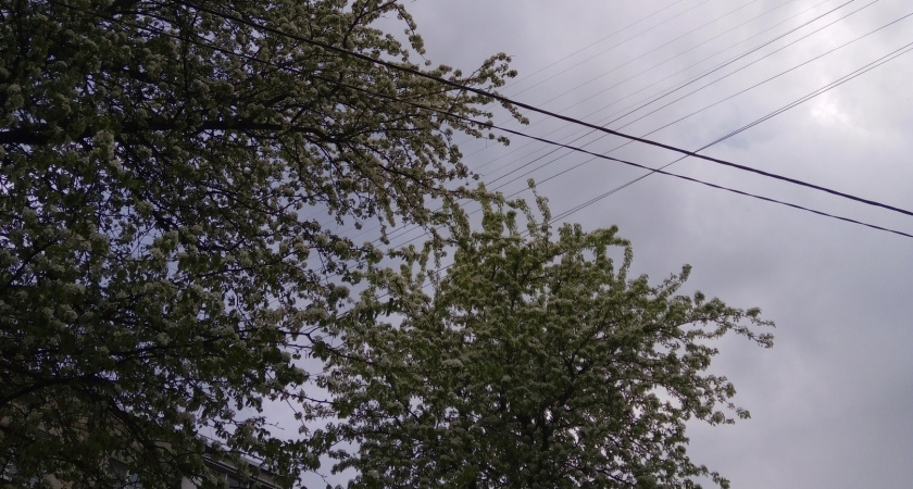 19 июля в Мордовии ожидается гроза и до +30