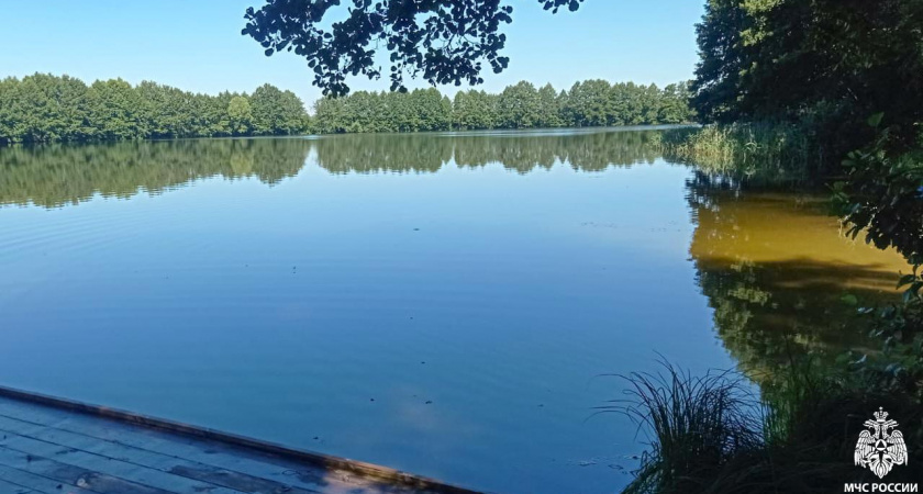 В МЧС сообщили подробности гибели мужчины в Мокше