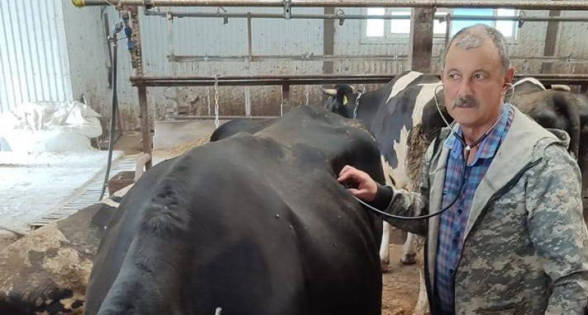 Путин отметил труд ветеринара из Мордовии Валерия Баринова