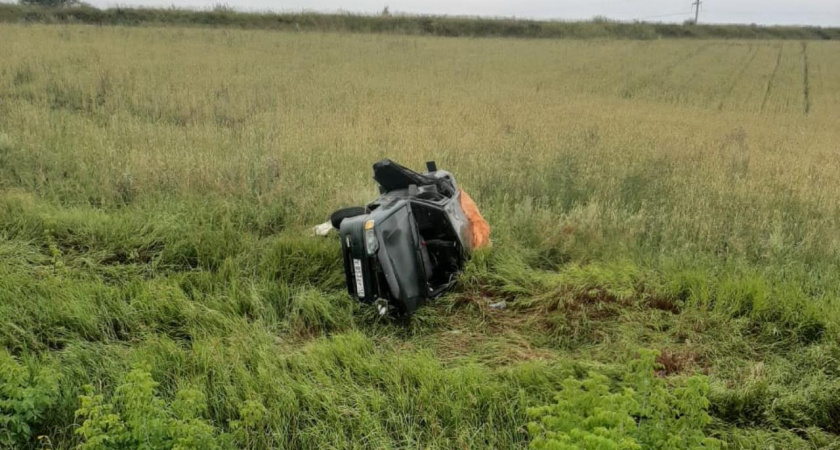 В Мордовии «четырнадцатая» слетела с трассы в кювет