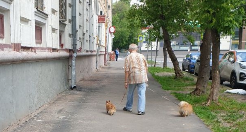 Пенсионная реформа уменьшает размер пенсии: работаем больше, получаем шиш с маслом — пенсионные начисления меньше 