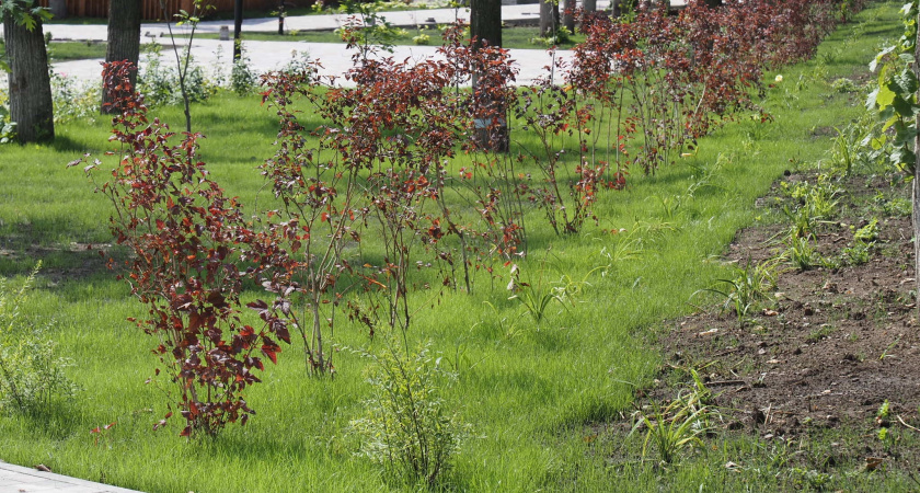 В Мордовии подрядчика оштрафовали за нарушение сроков благоустройства
