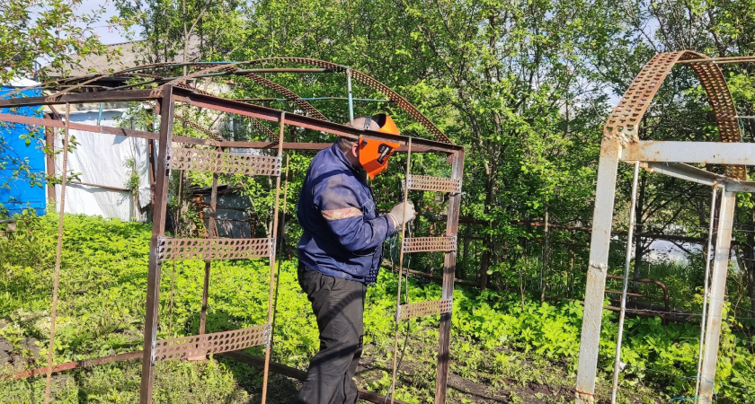 "Не уйдёт никто". Озвучено, за что могут оштрафовать владельцев дач