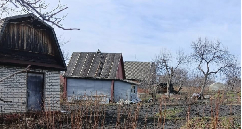 Каждый сентябрь  закапываю на  огороде тряпку  с керосином: вот для чего  это делаю — пользы на  миллион и  минимум трат