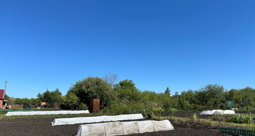 Каждый сентябрь прикапываю на огороде тряпку и керосин: вот для чего это делаю — пользы на миллион и минимум трат