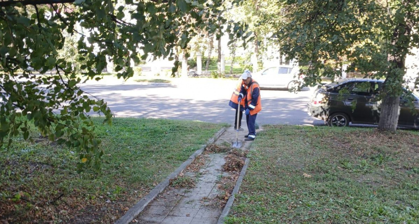 Мэрия Саранска рассказала о планах по озеленению города