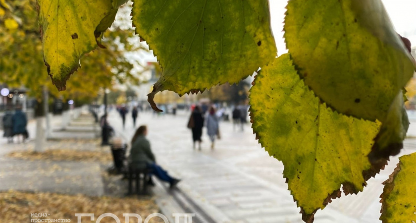 Целых 8 дней отдыха ждут россиян в октябре 2024: щедрый подарок от государства