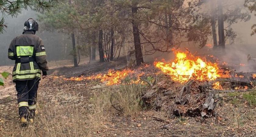 В Мордовии случился еще один лесной пожар