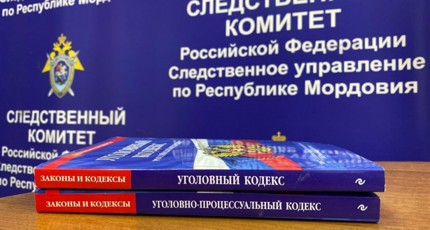 В Саранске подросток с другом избили и ограбили участника СВО