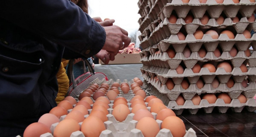 В Саранске обнародовали цены на продукты на большой ярмарке