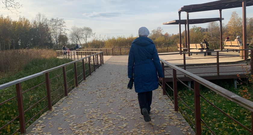 Указ подписан: пенсионеров ждёт разовая выплата с четырьмя нулями уже с 4 ноября