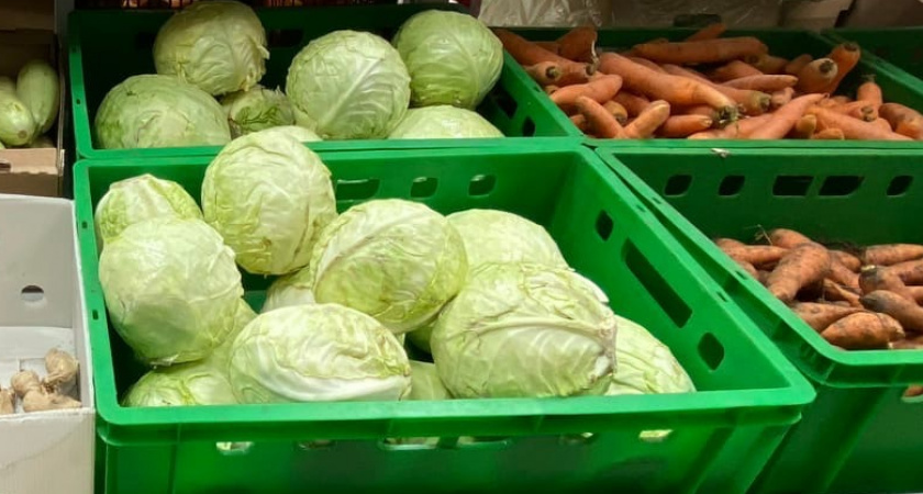 Эти три простых правила сделают вашу квашенную капусту вкусной