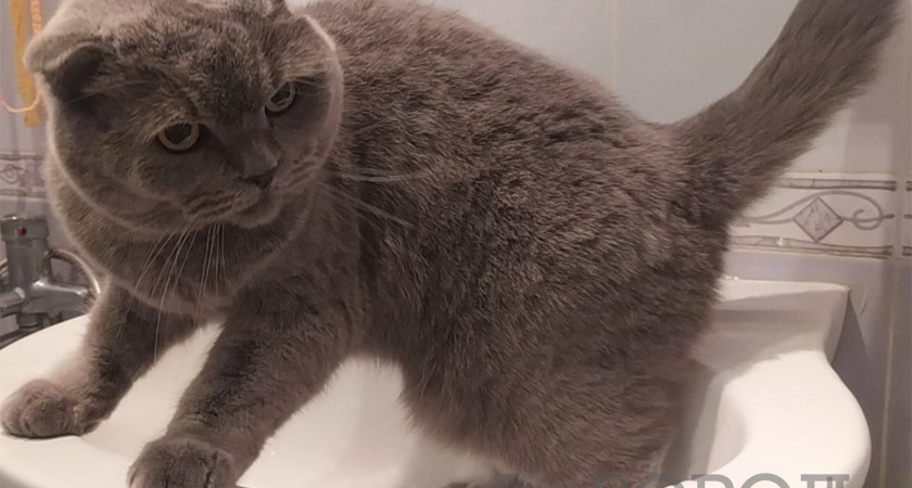 Теперь строго запрещено:  с 6 ноября штраф 700 рублей за каждый день для владельцев квартир с ванной