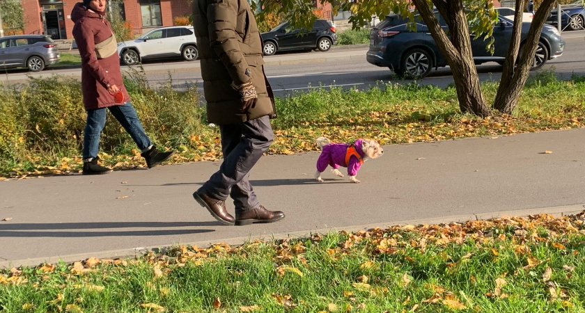 Выходные отменяют из-за ситуации в России: новогодние каникулы 2024-2025 уже не будут такими, как раньше